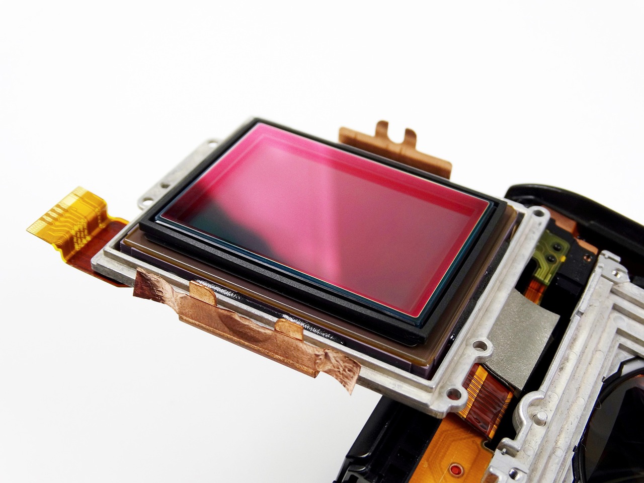 蓝领贷的app在哪详情下载教程