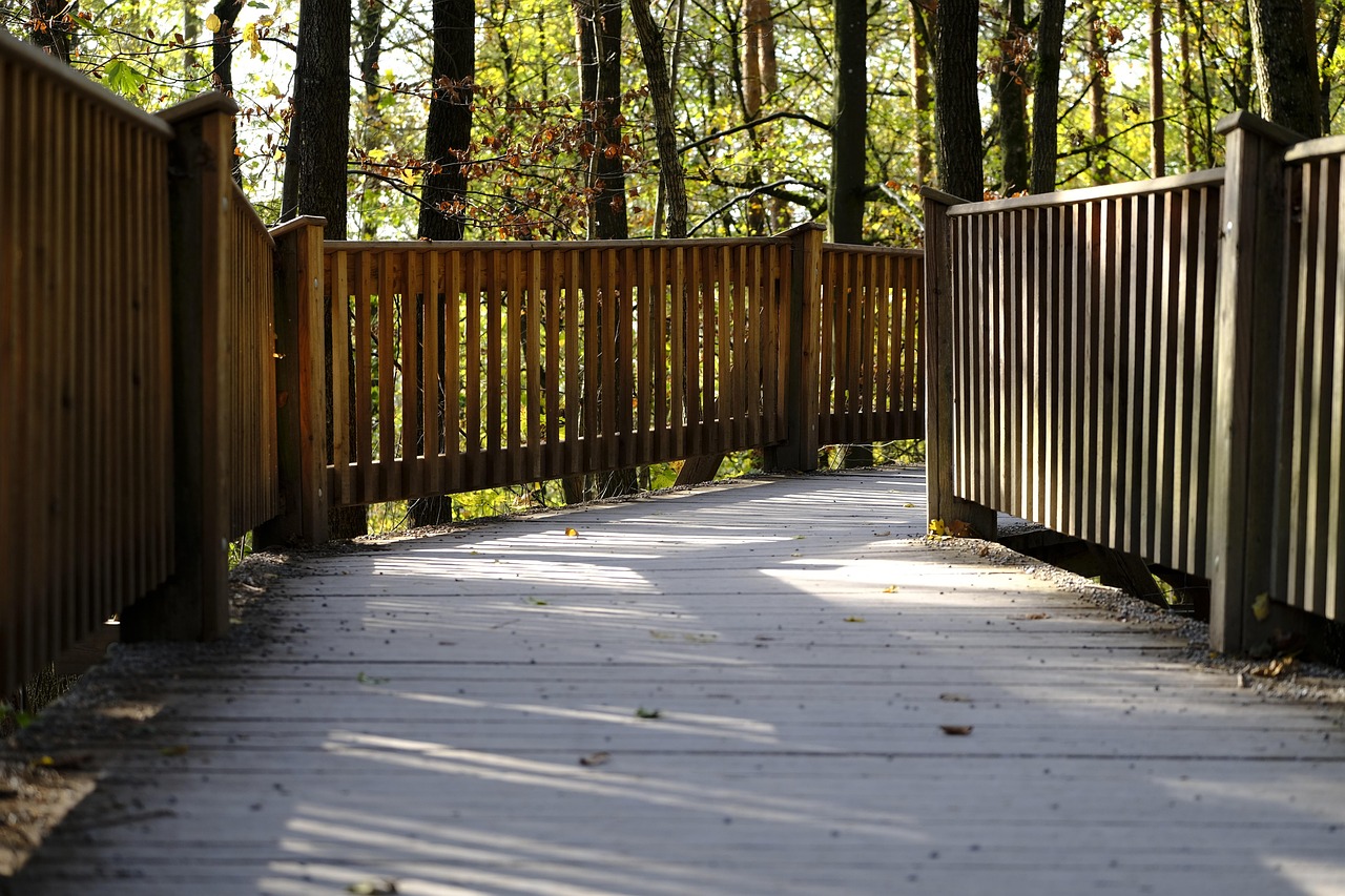 聚名网实名账号:如何注册货代理