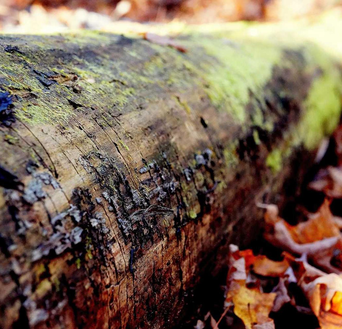 免费DDOS攻击平台|做现货平台开户多少成本