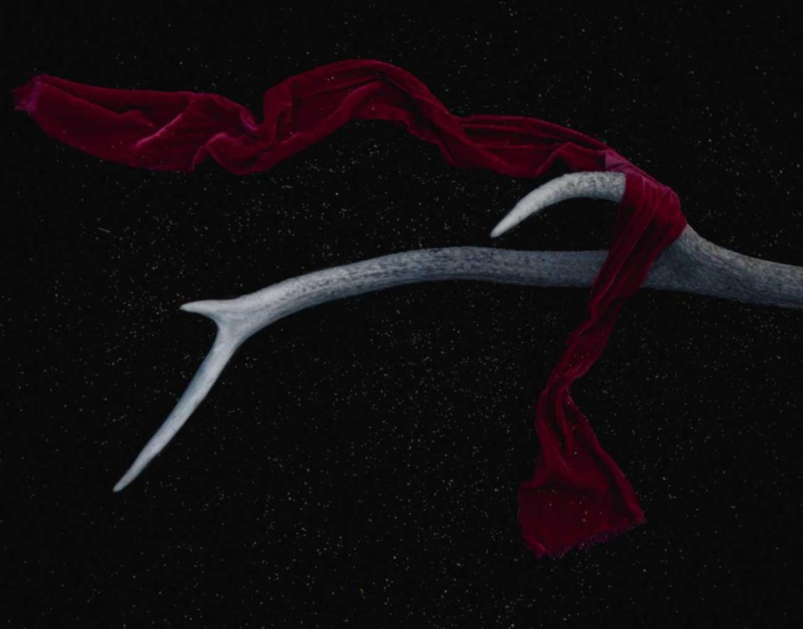 如何用短信改变客户的购买行为