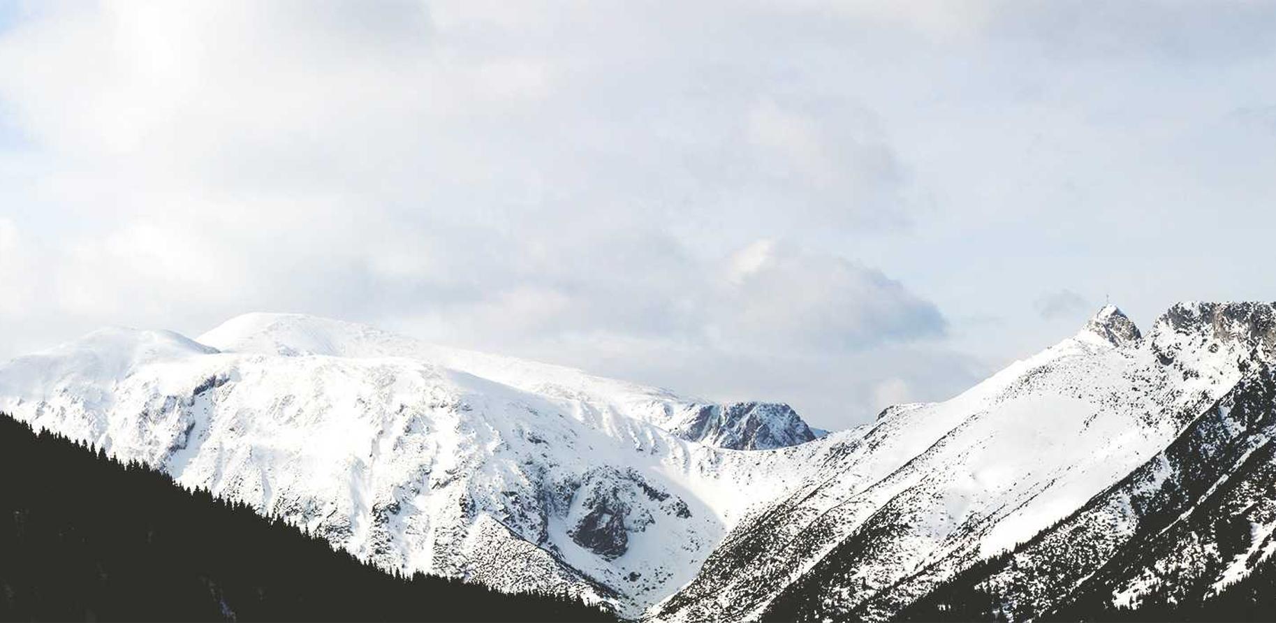 显卡平台购买渠道