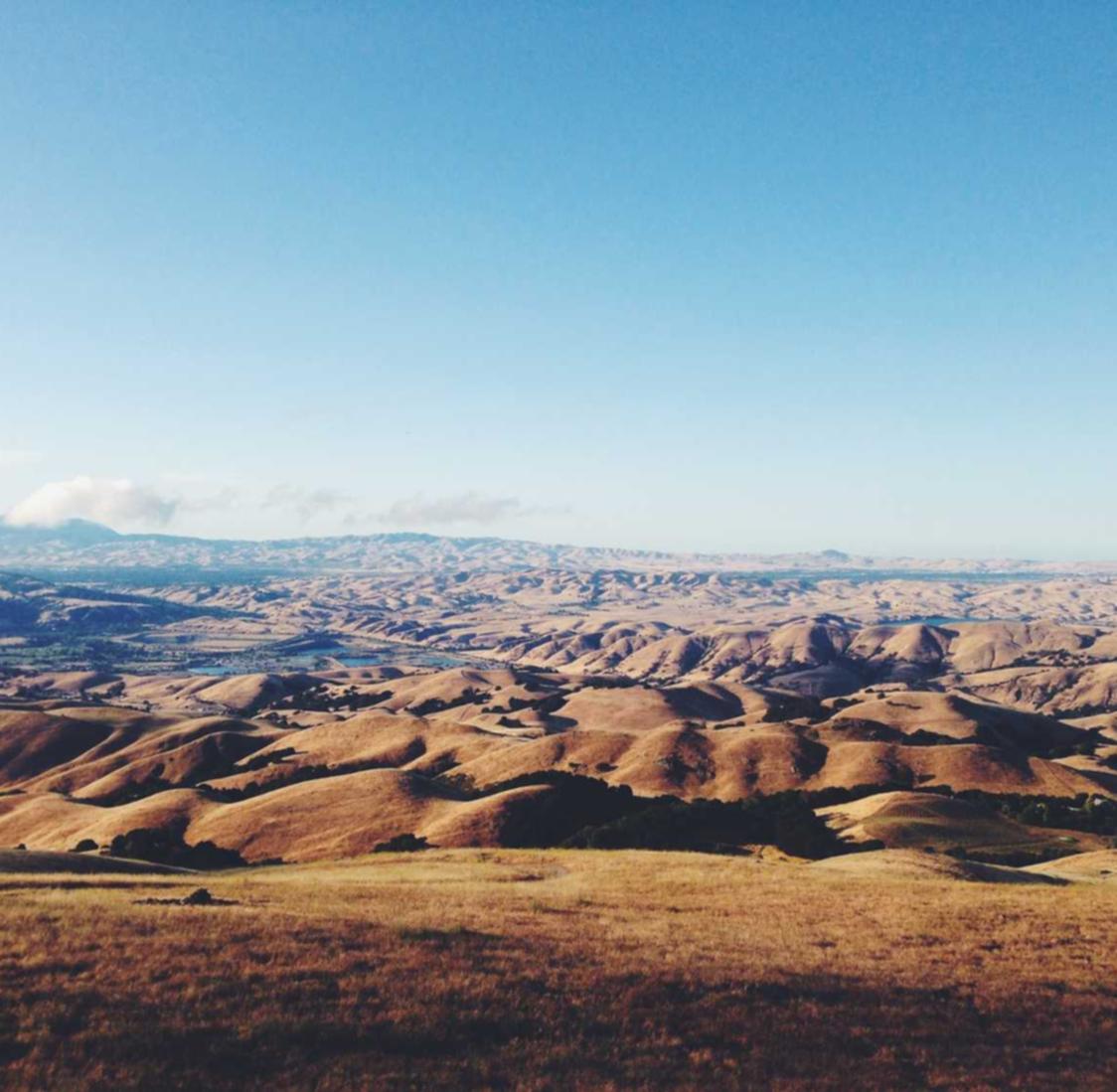 杏宇等ta交友平台代理