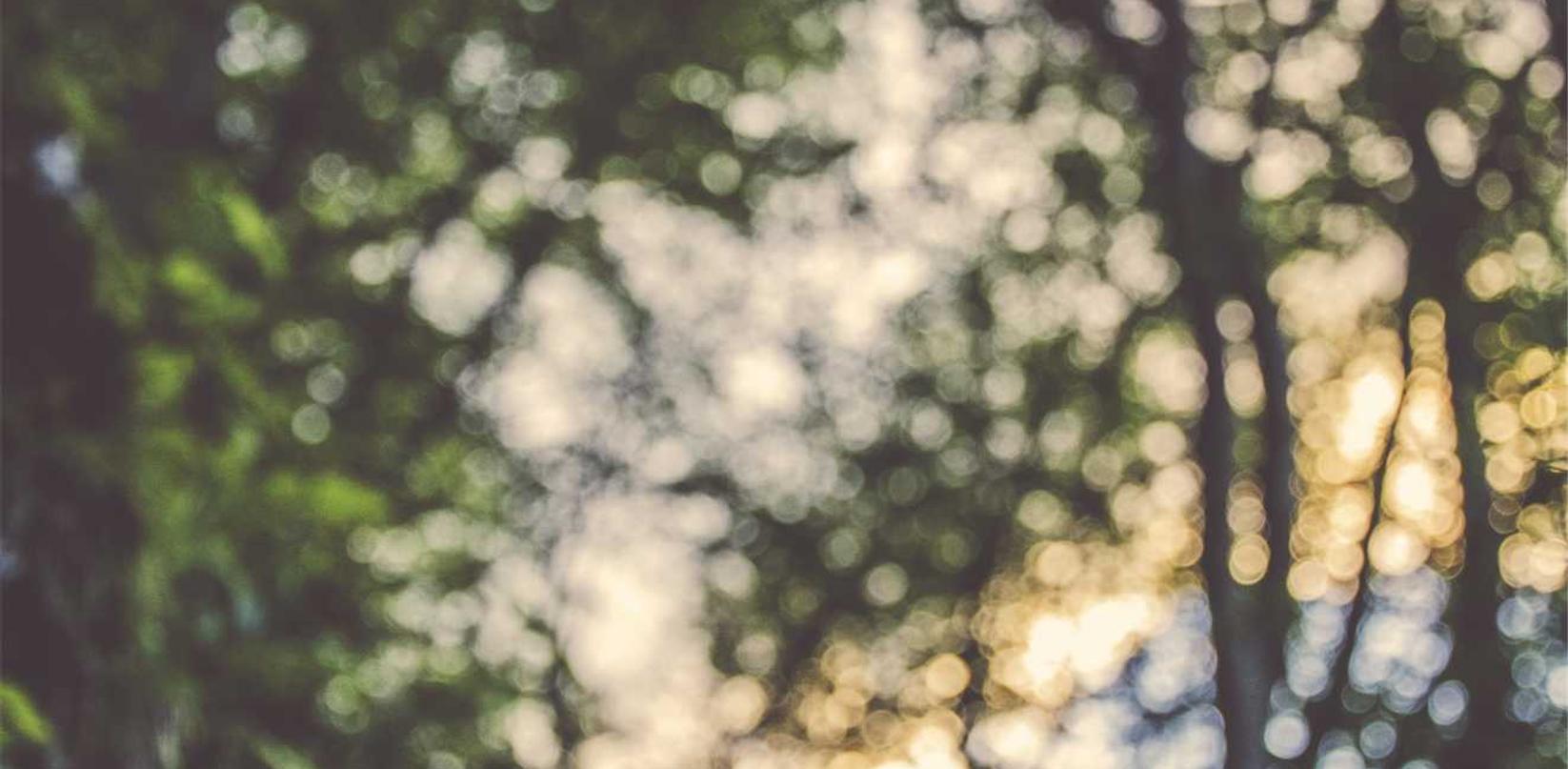 利用短信服务的互动功能促进客户关系