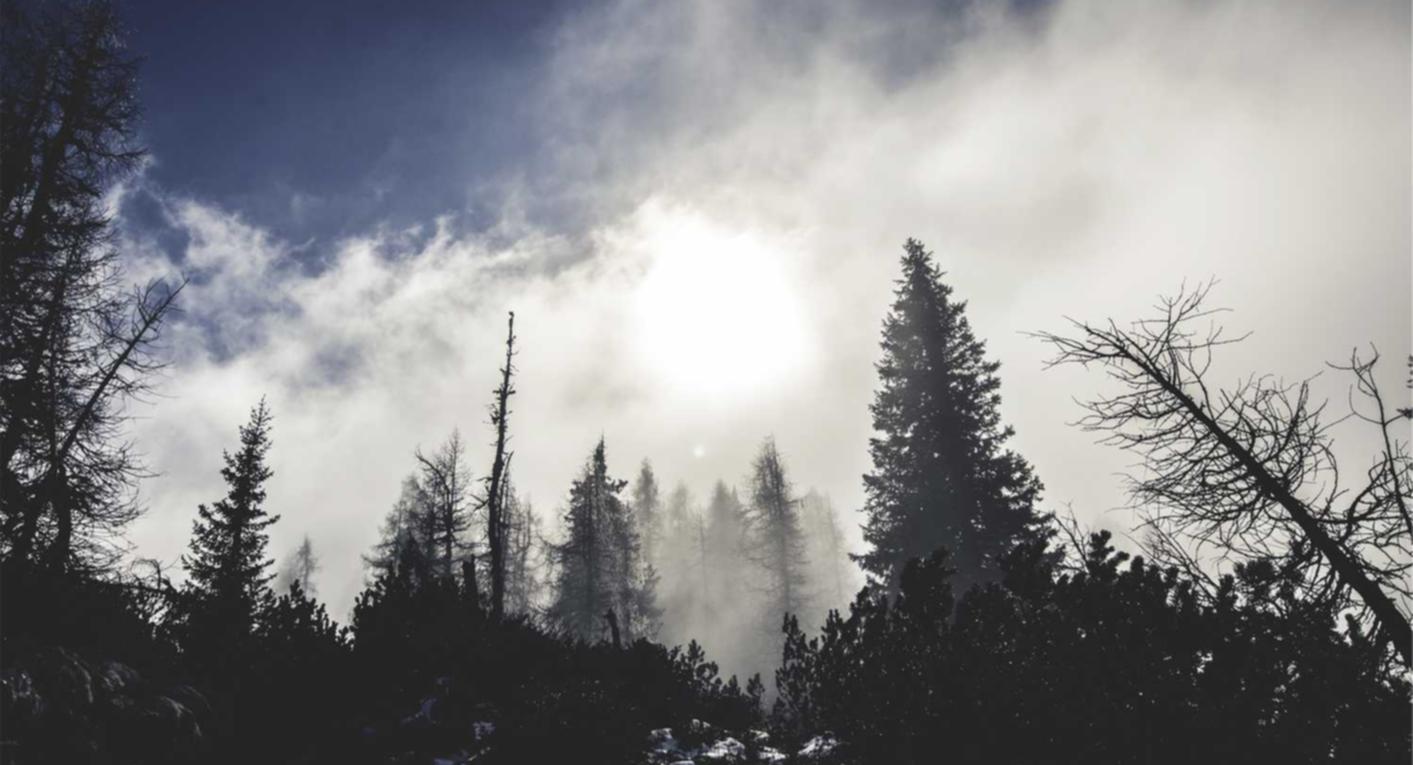 迪加实名账号：疾控中心账号怎么注册