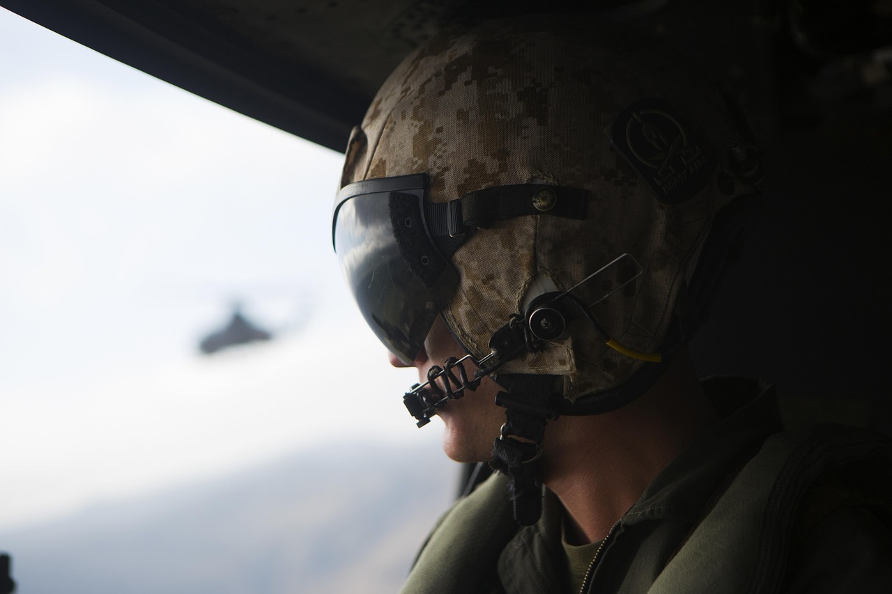 韩免铁塔猫济州岛（限定）：广州南沙注册代理