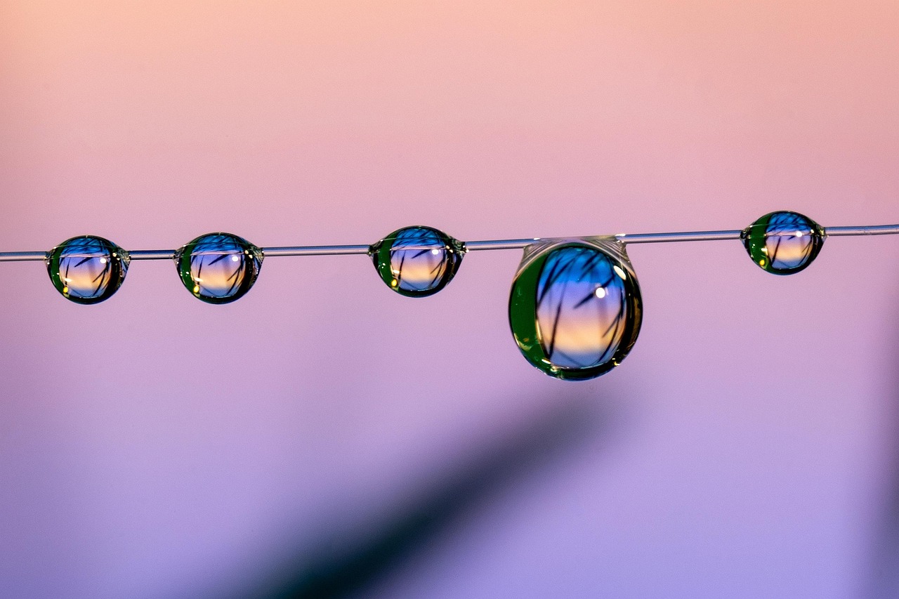 欧盟寿百年（彩寿）：代理注册哪个公司好一些