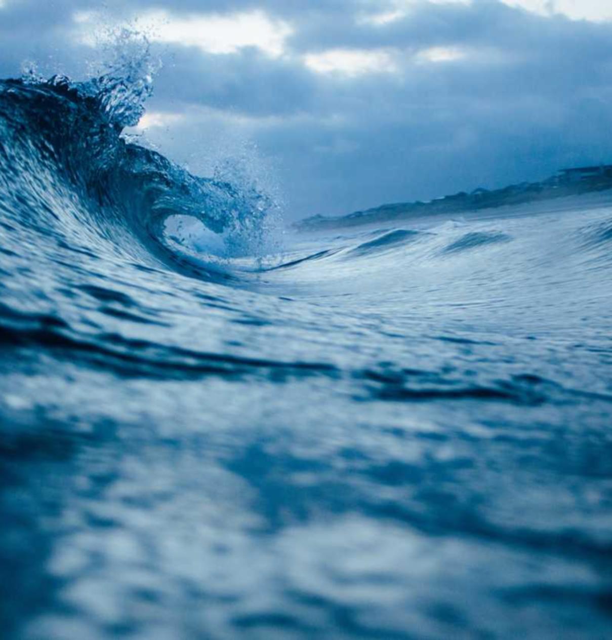 DDOS接单平台|注册招标代理公司